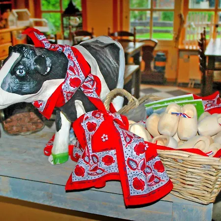 別荘 Wiringherlant-28 By Interhome