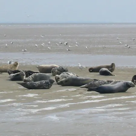 Wiringherlant-28 By Interhome Hippolytushoef